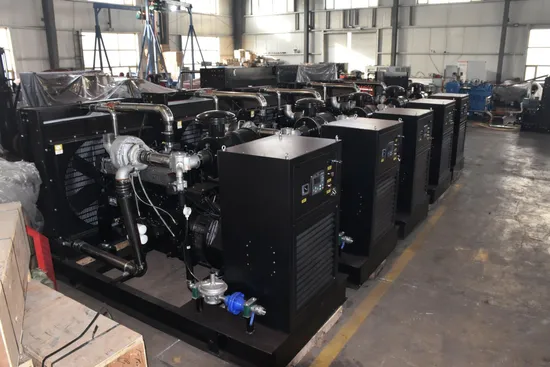 LPG Gas Generator Cummins Powered 50kw for Prime & Standby Power